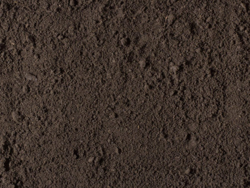 Leaf Compost