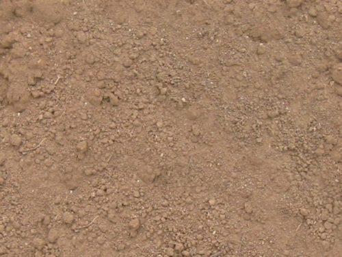 Top Soil